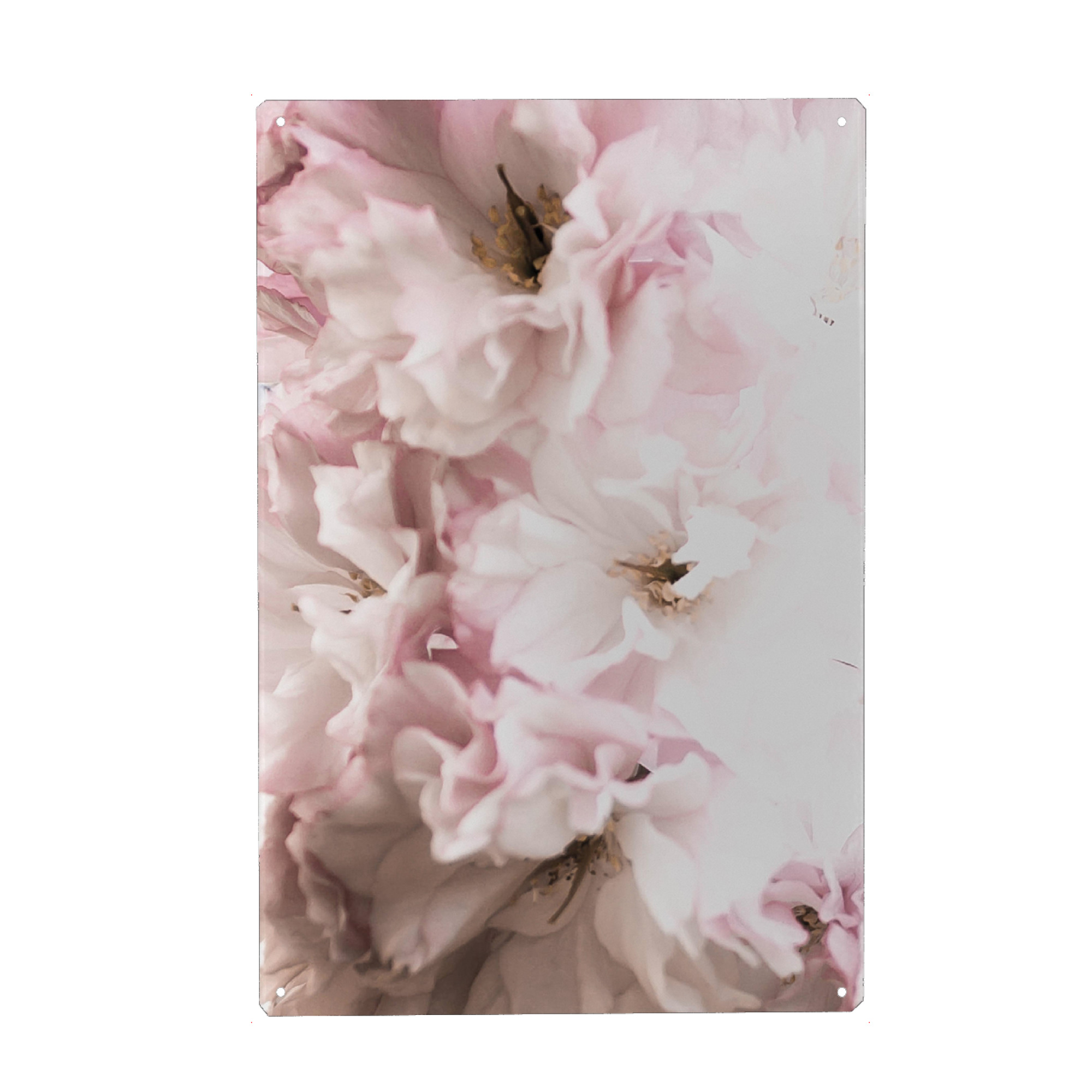 Metall Poster "Rosa Flowers" artboxONE - Floral