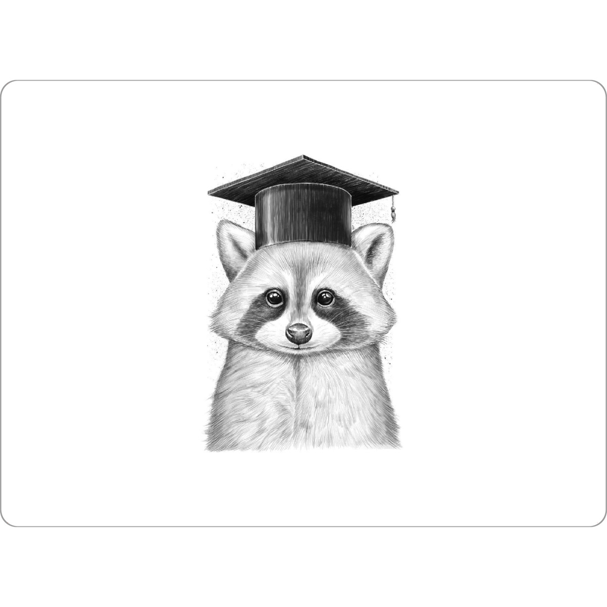 Tischset "Raccoon graduate" artboxONE - Natur,Tiere,Schwarzweiß - Waschbär,Tier,Tiere,Absolvent,Hut - Bild waschbär
