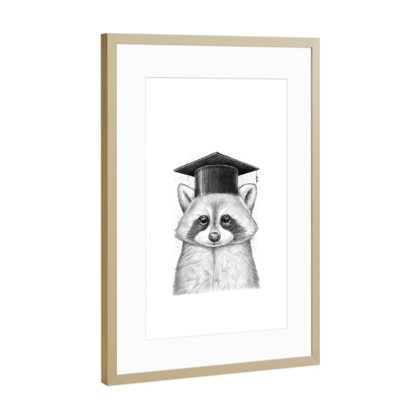 Poster mit Rahmen Gold "Raccoon graduate" artboxONE - Natur,Tiere,Schwarzweiß - Waschbär,Tier,Tiere,Absolvent,Hut