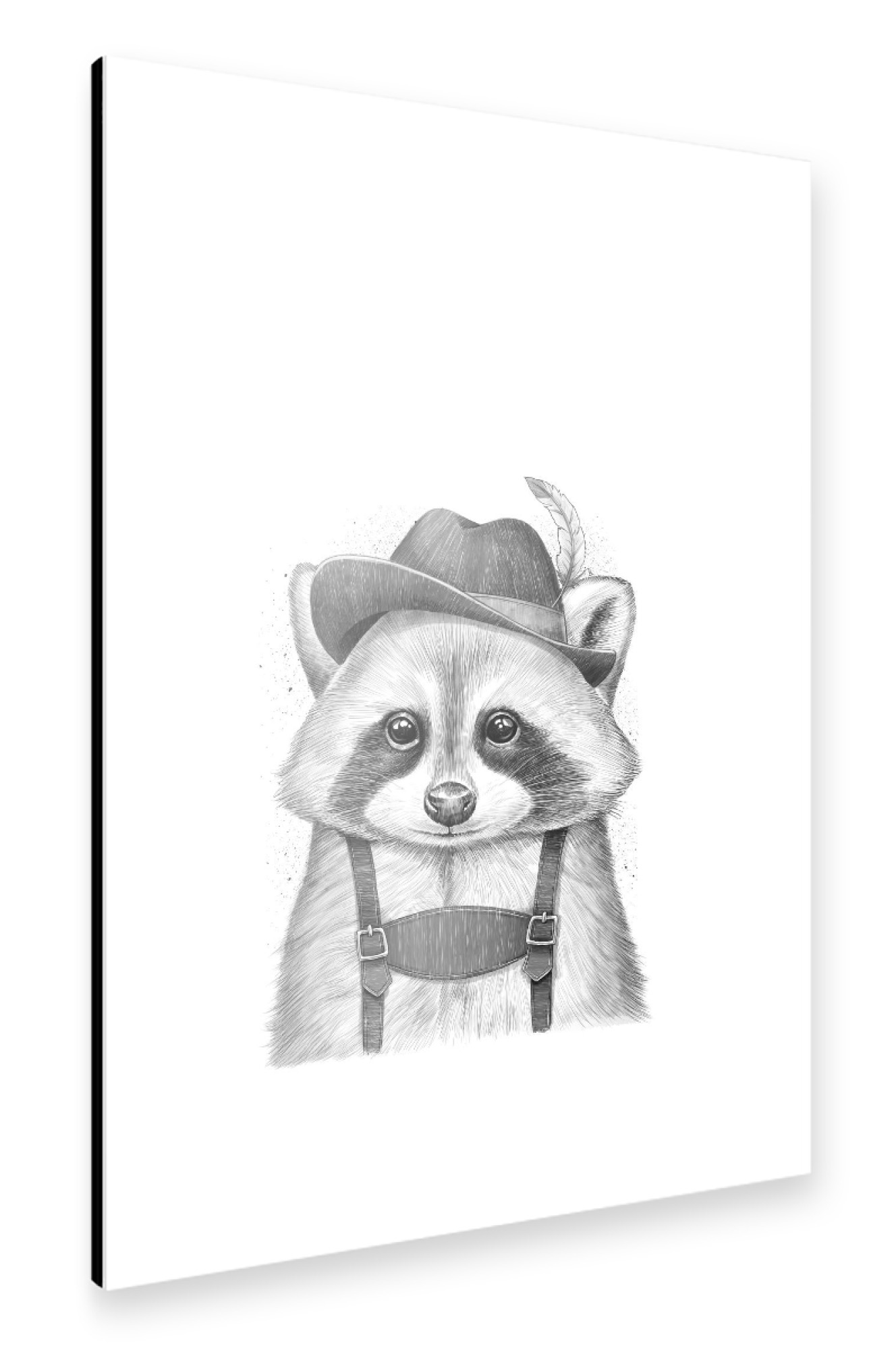 Alu-Dibond "German raccoon" 75x50 cm artboxONE