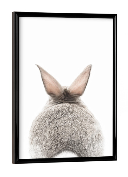 Poster mit schwarzem Rahmen "Baby Bunny's Tail" artboxONE - Tiere - Bunny,Baby,Tail,Rabbit,Animal