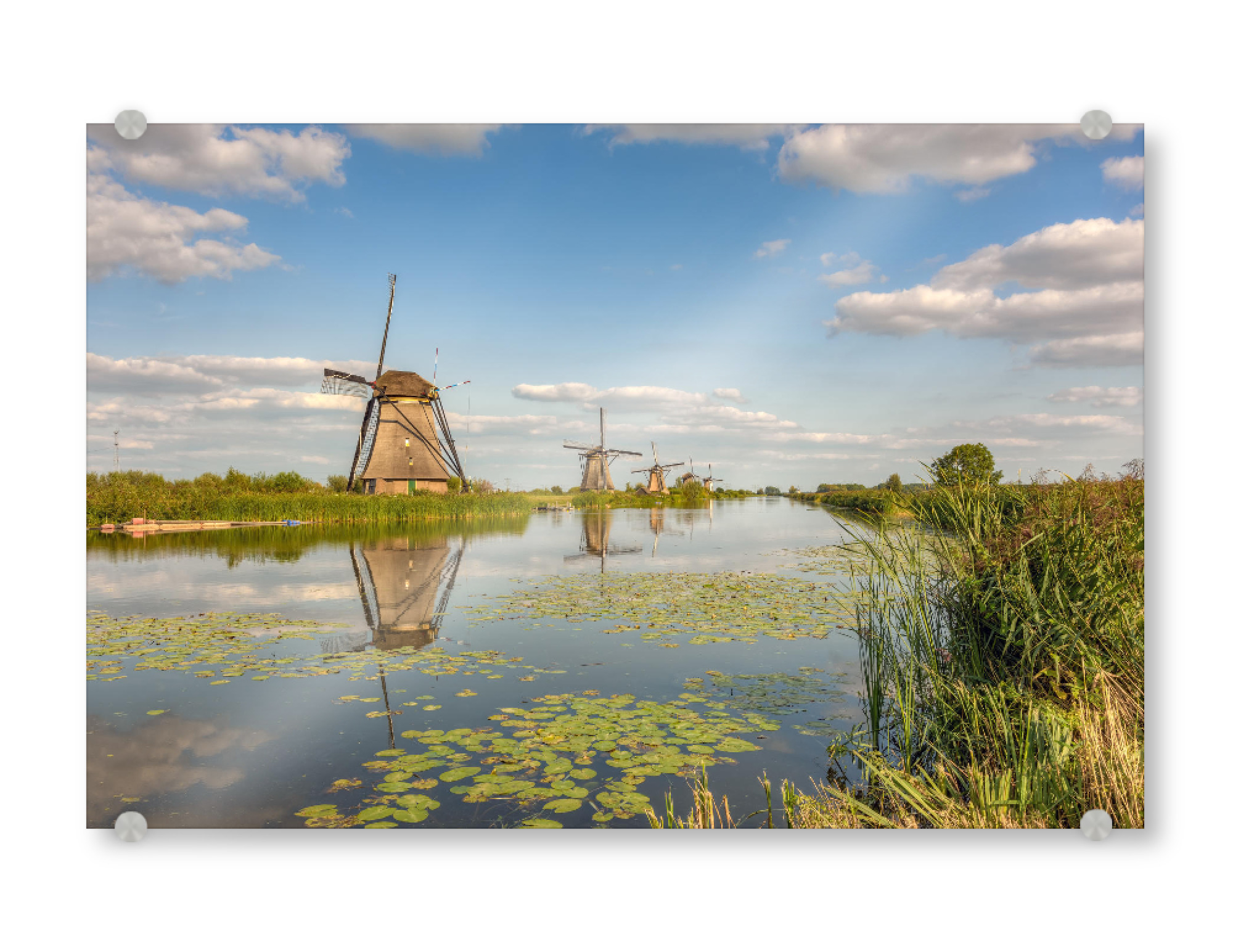 Acrylglasbild "Sommer in Kinderdijk" artboxONE - Reise / Länder - Windmühlen,Holland,Niederlande,Kinderdijk