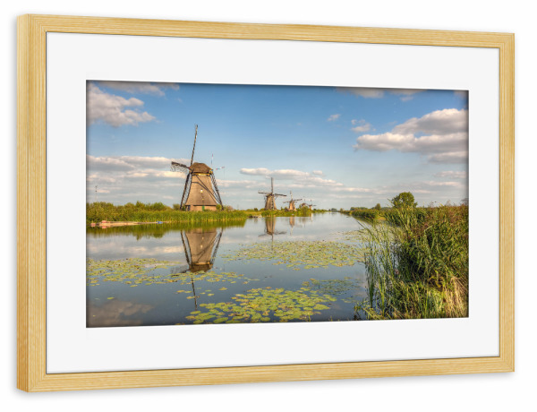 Poster mit Rahmen kiefer "Sommer in Kinderdijk" artboxONE - Reise / Länder - Windmühlen,Holland,Niederlande,Kinderdijk