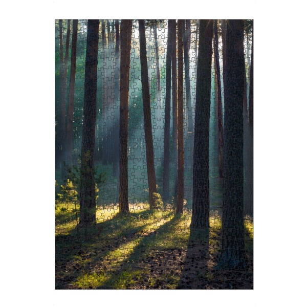 artboxONE Puzzle "Morgen im Wald" artboxONE - Natur - Wald,Kiefern,Licht,Herbst,Harz,Sonne,Natur,Forest,Sun - Bild wald