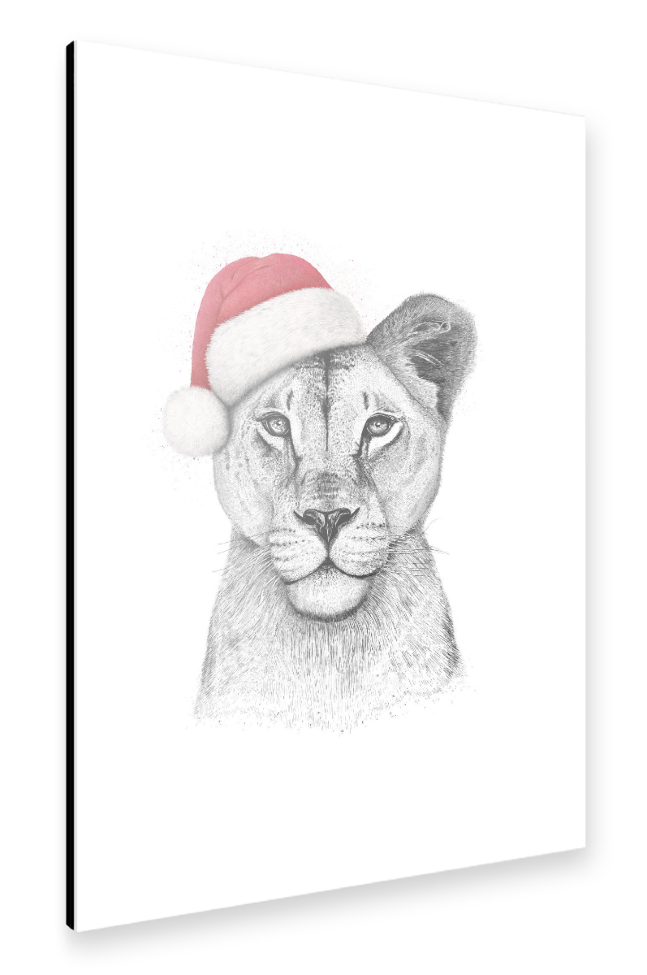 Alu-Dibond "Christmas Lioness" 30x20 cm artboxONE
