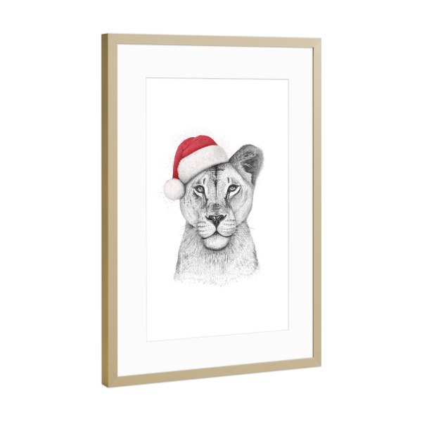 Poster mit Rahmen Gold "Christmas Lioness" artboxONE - Tiere,Schwarzweiß,Weihnachten - Lioness,Lion,Christmas,Cat