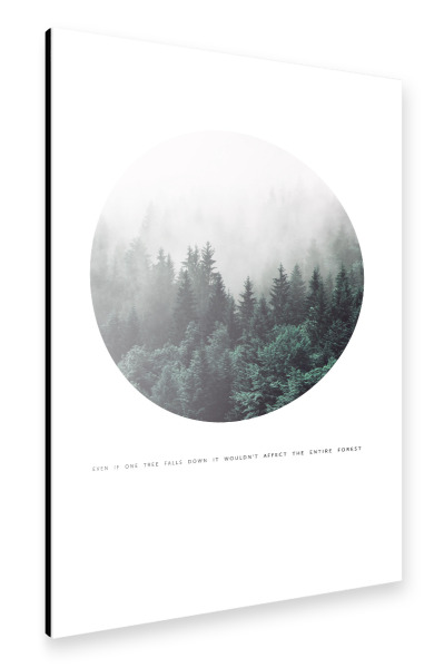 Alu-Dibond "The misty forest" 30x20 cm artboxONE