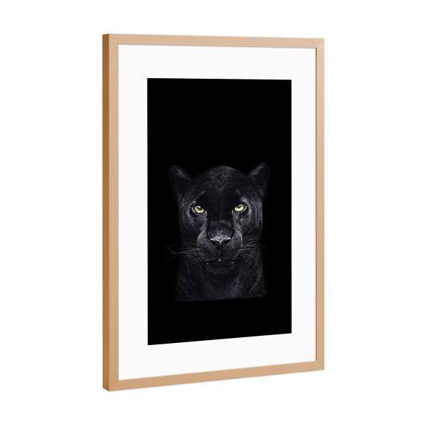 Poster mit Rahmen Kupfer "Black panther on black" artboxONE - Tiere - Panther,Black panther,Cat