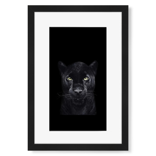 Black panther on black