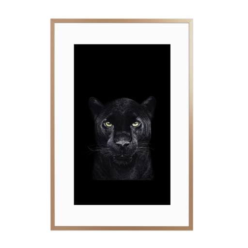 Black panther on black