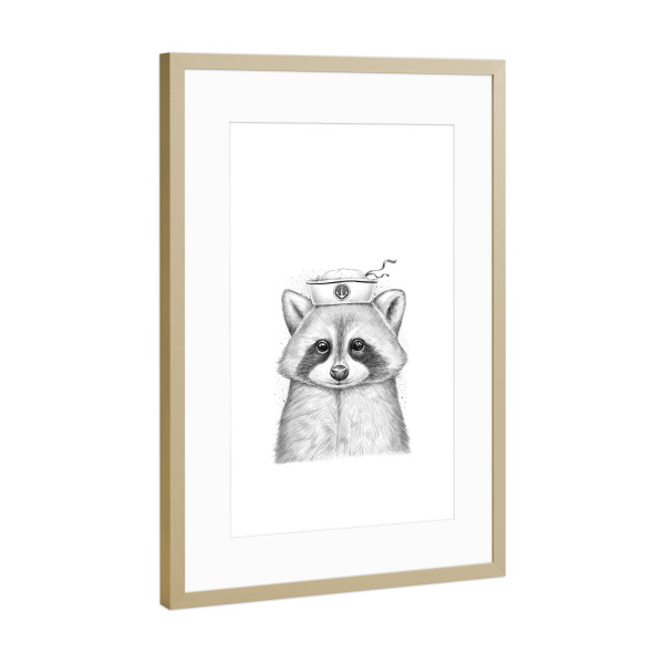 Poster mit Rahmen Gold "Raccoon sailor" artboxONE - Tiere,Schwarzweiß - Waschbär,Waschbären,Seemann,Meer,Ozean,Hut,Schwarz und weiß