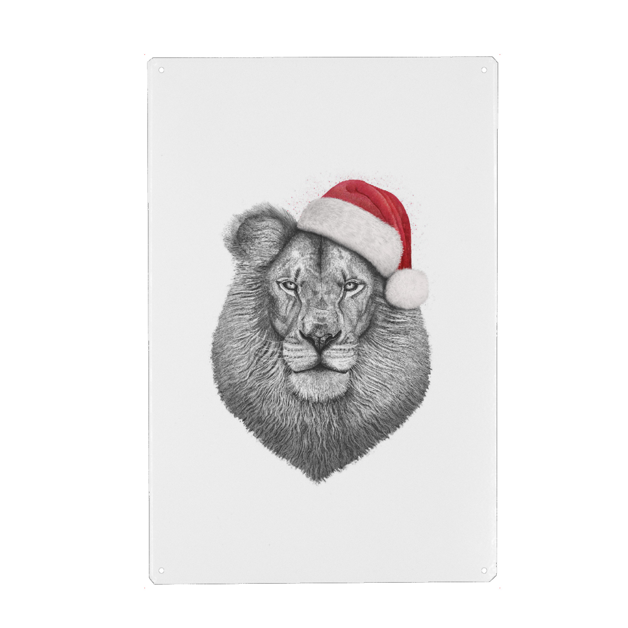 Metall Poster "Christmas Lion" artboxONE - Tiere,Schwarzweiß - Lion,Cat,Christmas - Blechschild