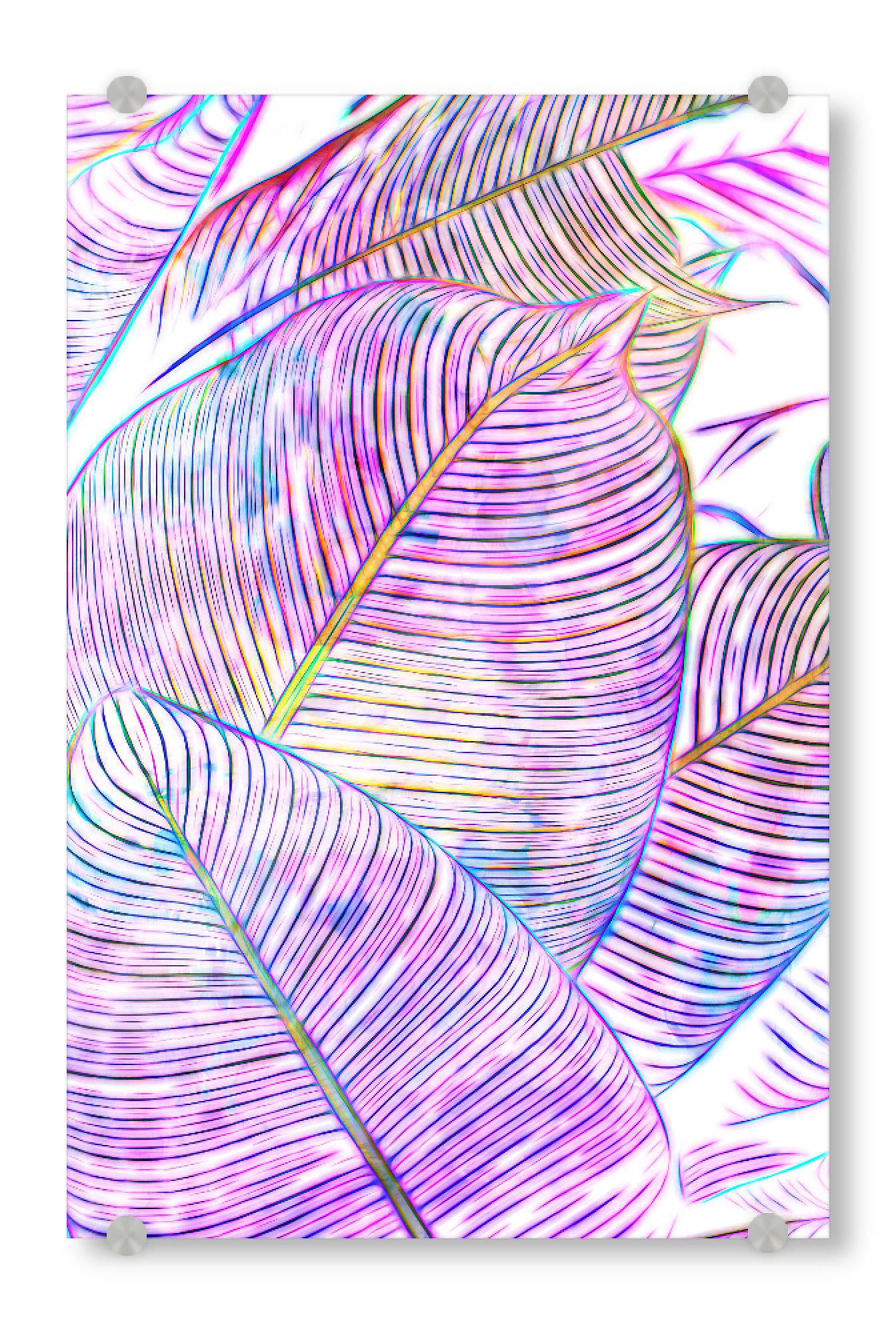 Acrylglasbild "Ultraviolet Banana Leaves" artboxONE - Floral