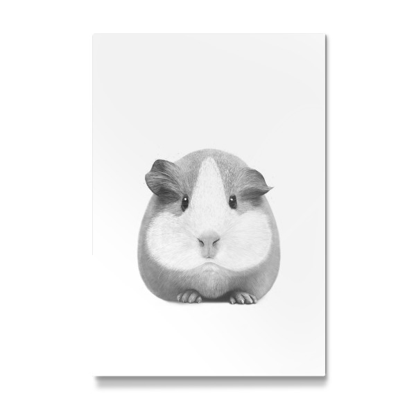 Galerie-Print "Guinea pig girl" 30x20 cm artboxONE