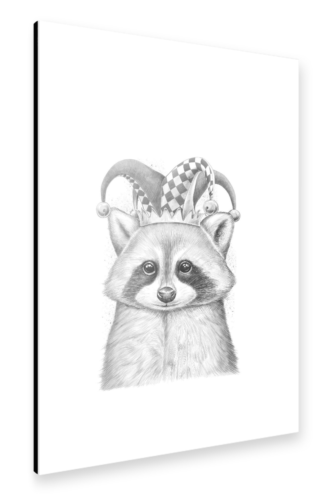 Alu-Dibond "Raccoon joker" 30x20 cm artboxONE