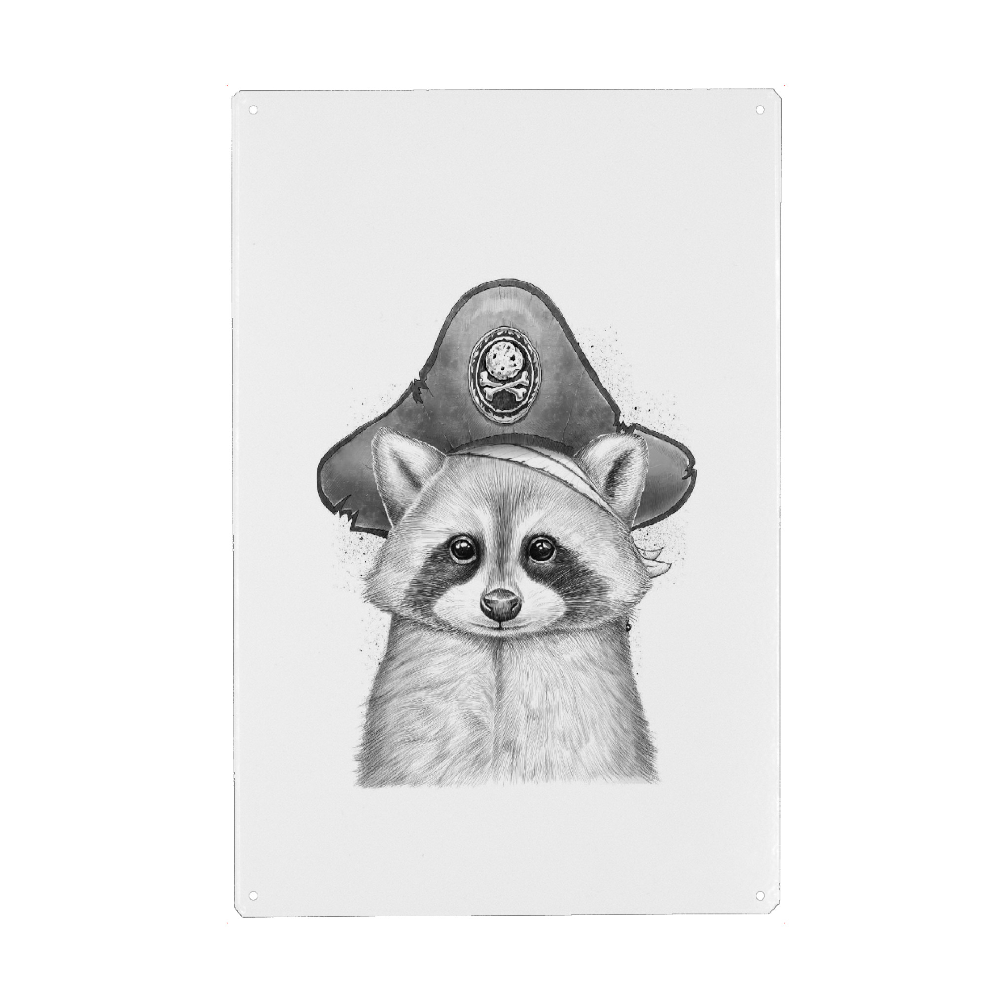 Metall Poster "Raccoon pirate" artboxONE - Tiere,Schwarzweiß - Waschbär,Waschbären,Tier,Tiere,Natur,Pirat,Piratenhut,Hut,Schwarz und weiß