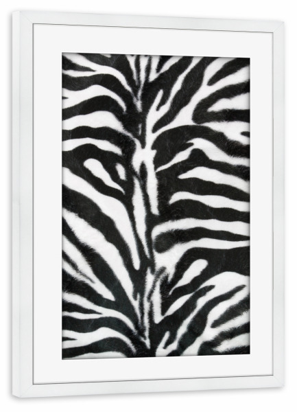 Poster mit Rahmen weiß "Zebra Fur" artboxONE - Tiere,Schwarzweiß - Zebra,Fell,Zebrafell,Animalprint,Animal print