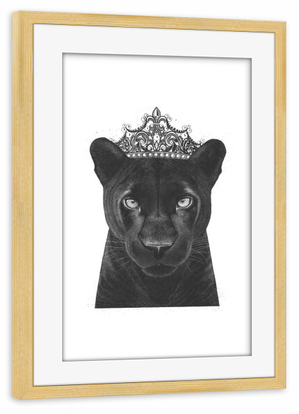 Poster mit Rahmen kiefer "The Queen Panther" artboxONE - Tiere,Schwarzweiß - Panther,Black panther,Cat,Queen,Royal,Black and white