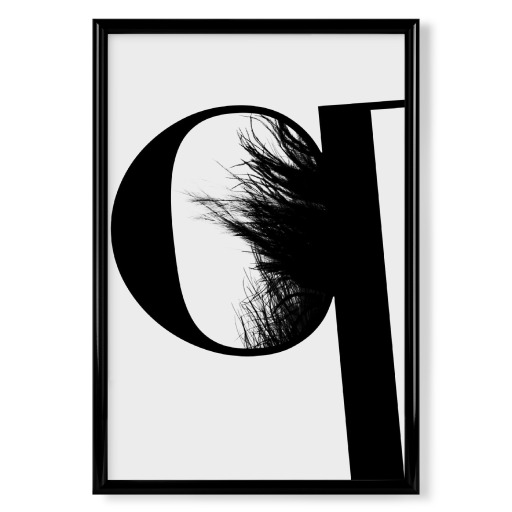 Flying Letter -Q