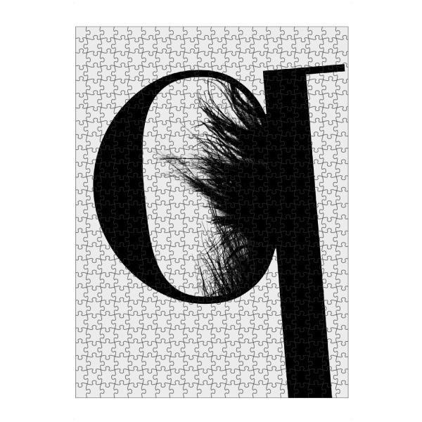 artboxONE Puzzle "Flying Letter -Q" artboxONE - Schwarzweiß,Buchstaben,Buchstaben / Q