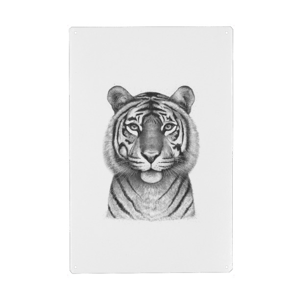 Metall Poster "The Tigress" artboxONE - Tiere,Schwarzweiß - Tigress,Tiger,Cat,Black and white - Blechschild