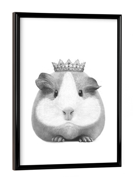 Poster mit schwarzem Rahmen "Queen guinea pig" artboxONE - Tiere,Schwarzweiß - Guinea pig,Pig,Black and white,Queen,Royal