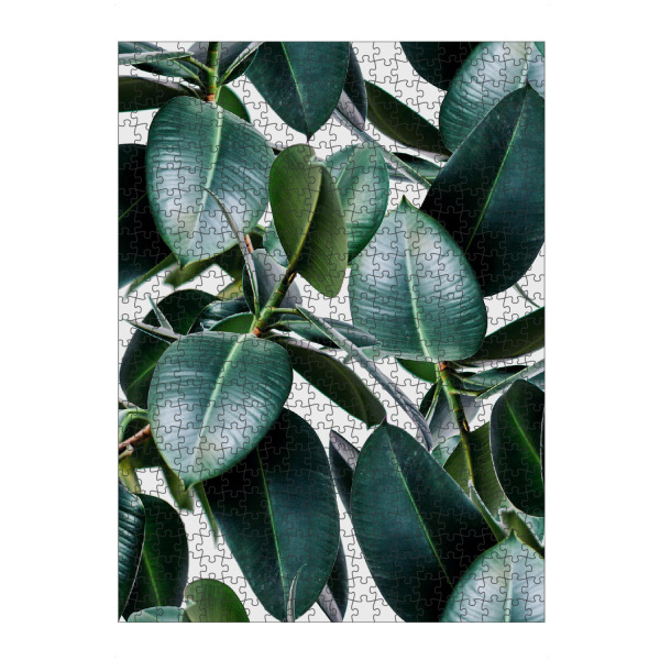 artboxONE Puzzle "Tropical Elastica" artboxONE - Natur