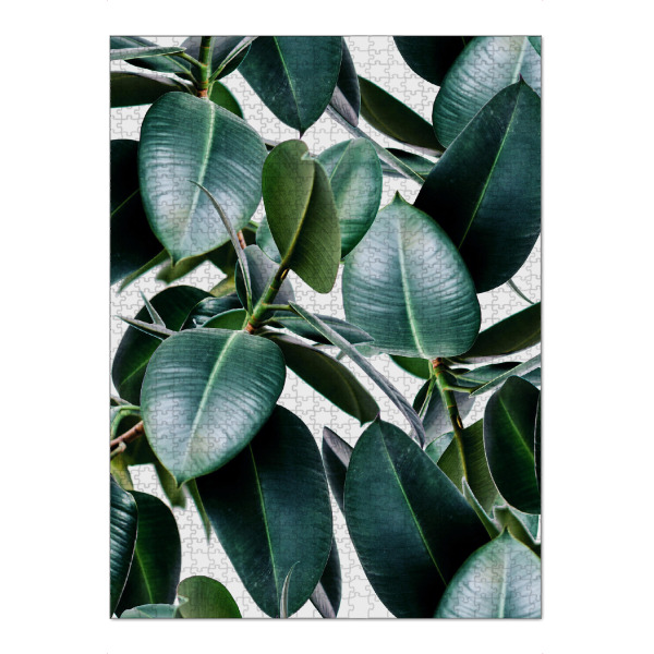 Puzzle Ravensburger "Tropical Elastica" artboxONE - Natur