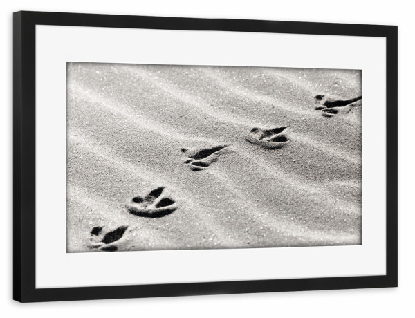Poster mit Rahmen schwarz "Tracks" artboxONE - Reise / Strand und Meer - Fußspur,Spuren,Fußabruck