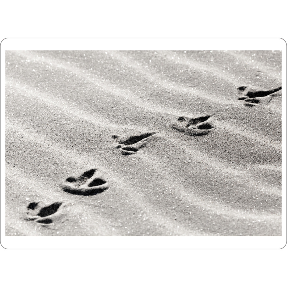 Tischset "Tracks" artboxONE - Reise / Strand und Meer - Fußspur,Spuren,Fußabruck - Bild fußspur