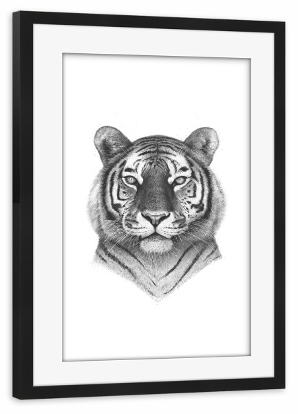 Poster mit Rahmen schwarz "The Tiger" artboxONE - Tiere,Schwarzweiß - Tiger,Cat,Black and white,Graphic