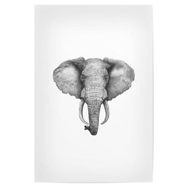 Poster "The Elephant" artboxONE - Tiere,Schwarzweiß - Elephant,Black and white,African animal,Graphic