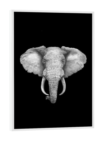 Poster mit weißem Rahmen "The Elephant on black" artboxONE - Tiere - Elephant,African animal,Black and white,Graphic,African elephant