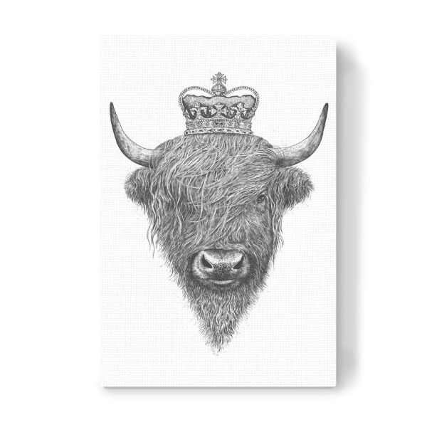 Leinwandbild "The King Highland Bull" artboxONE - Tiere,Schwarzweiß - Highland cow,Highland cattle,Royal,King,Bull