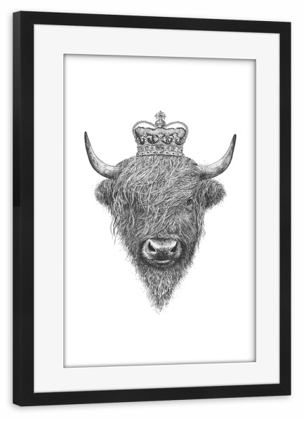 Poster mit Rahmen schwarz "The King Highland Bull" artboxONE - Tiere,Schwarzweiß - Highland cow,Highland cattle,Royal,King,Bull