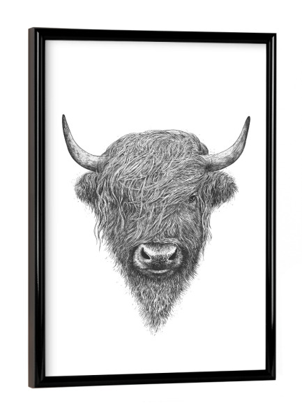 Poster mit schwarzem Rahmen "The Highland Bull" artboxONE - Tiere,Schwarzweiß - Highland cow,Highland cattle,Bull,Scotland bull,Black and white
