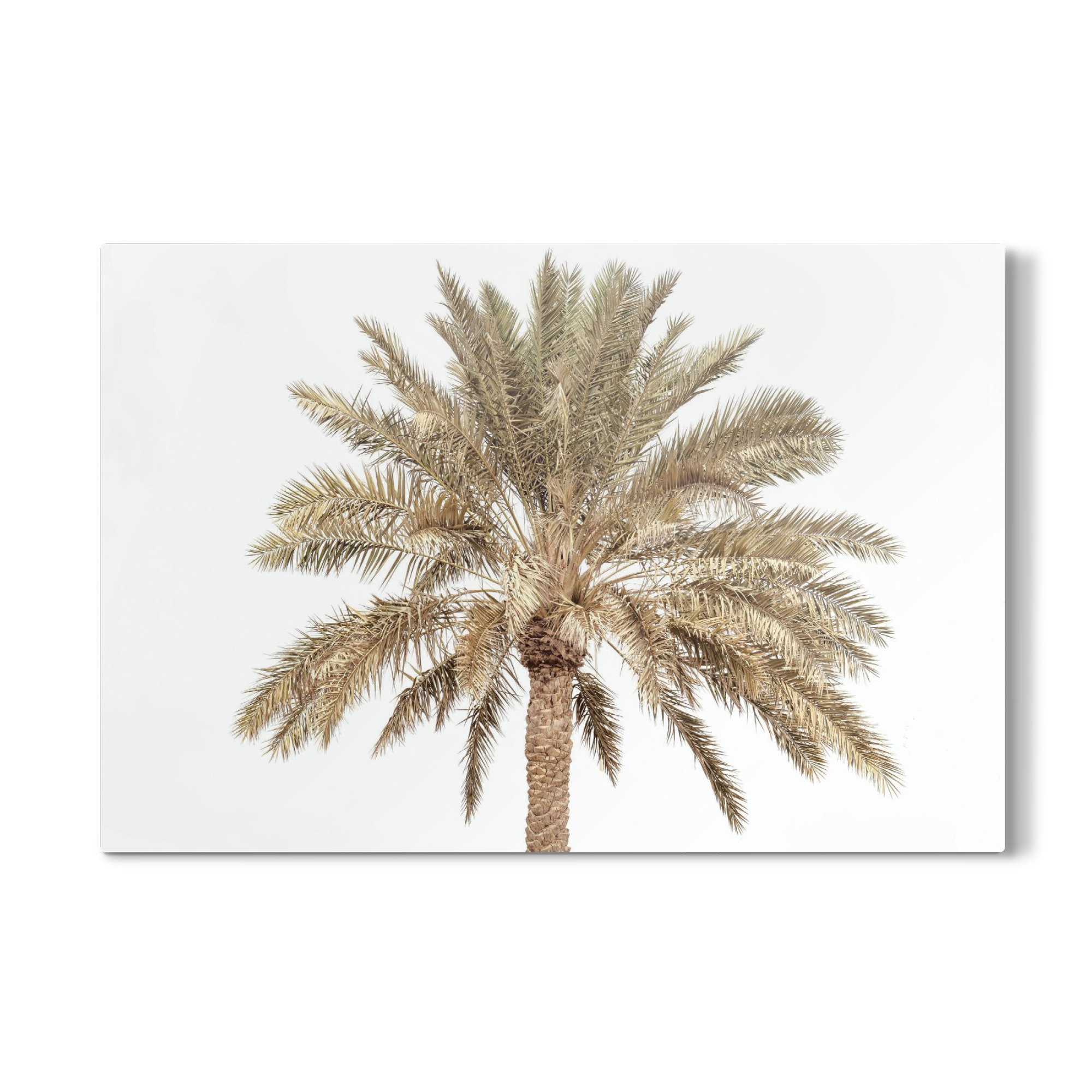 Galerie-Print "PLMYRA LOOK" 30x20 cm artboxONE