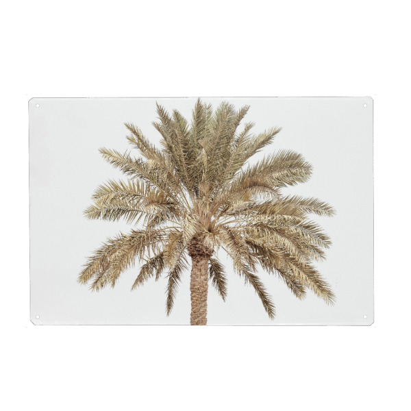 Metall Poster "PLMYRA LOOK" artboxONE - Natur,Reise,Floral - Palm,Tree,Leave - Blechschild