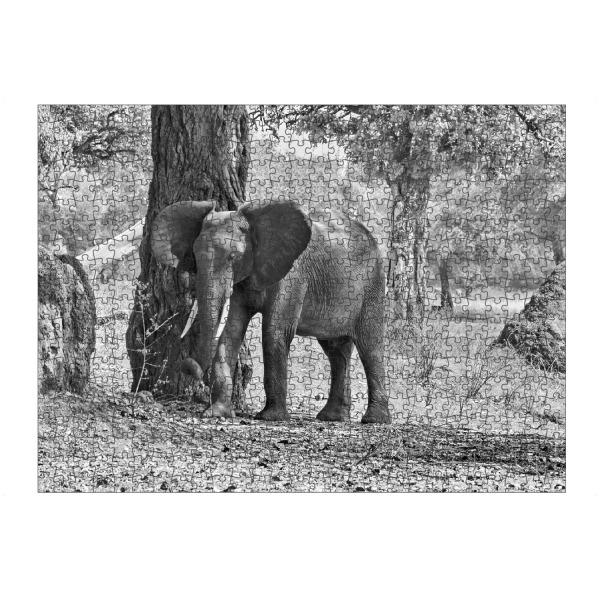 Puzzle Ravensburger "Elefant am Baum" artboxONE - Tiere,Schwarzweiß - Elefant,Zimbabwe,Dickhäuter - Bild elefant
