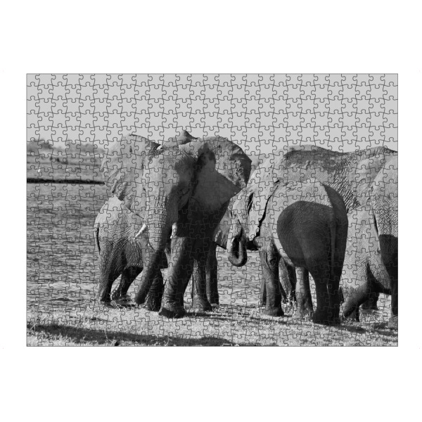 Puzzle Ravensburger "Elefanten am Fluss" artboxONE - Tiere,Schwarzweiß,Reise / Afrika - Elefant,Dickhäuter,Zimbabwe,Elfenbein,Rudel - Bild elefant