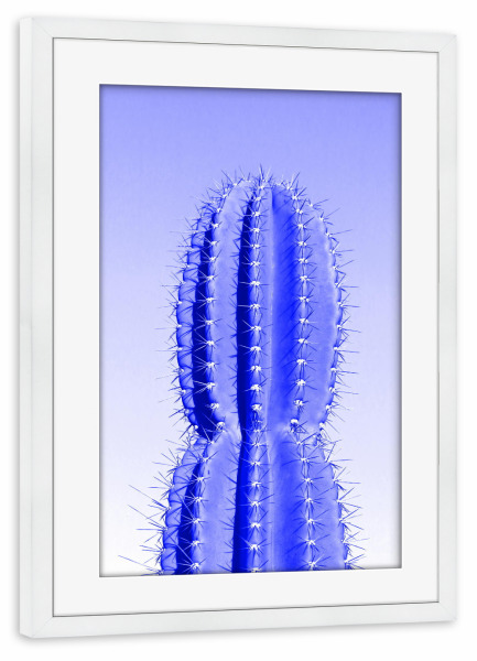 Poster mit Rahmen weiß "Stacheliger Kaktus blau" artboxONE - Reise / Afrika - Kaktus