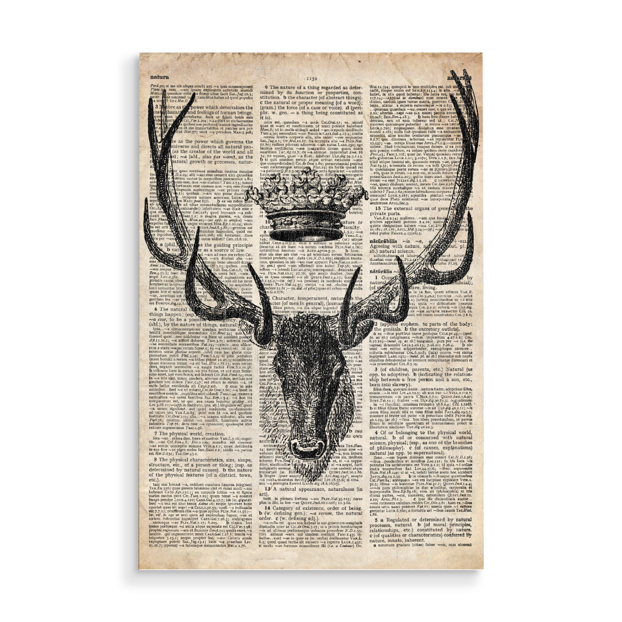 Holzbild "Hirsch und eine Krone" artboxONE - Tiere,Schwarzweiß - Tier,Wörterbuch,Antik,Vintage,Hirsch,Krone