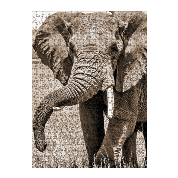 Puzzle Ravensburger "Alter Elefant sepia" artboxONE - Tiere - Elefant,Dickhäuter,Afrika - Bild elefant