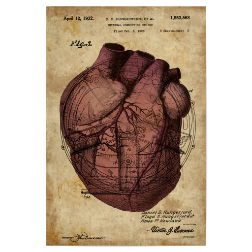 Menschliche Anatomie I Als Poster Bei Artboxone Kaufen