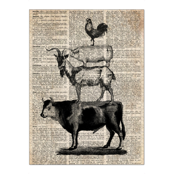 Puzzle Ravensburger "Nutztiere - Wörterbuch" artboxONE - Tiere,Schwarzweiß - Tier,Wörterbuch,Vintage,Nutztiere,Schwein,Ziege,Kuh,Hahn - Bild tier