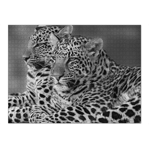 Puzzle Ravensburger "Zwei Leoparden digital-art" artboxONE - Tiere,Schwarzweiß,Reise / Afrika - Leopard,Afrika,Wild - Bild leopard