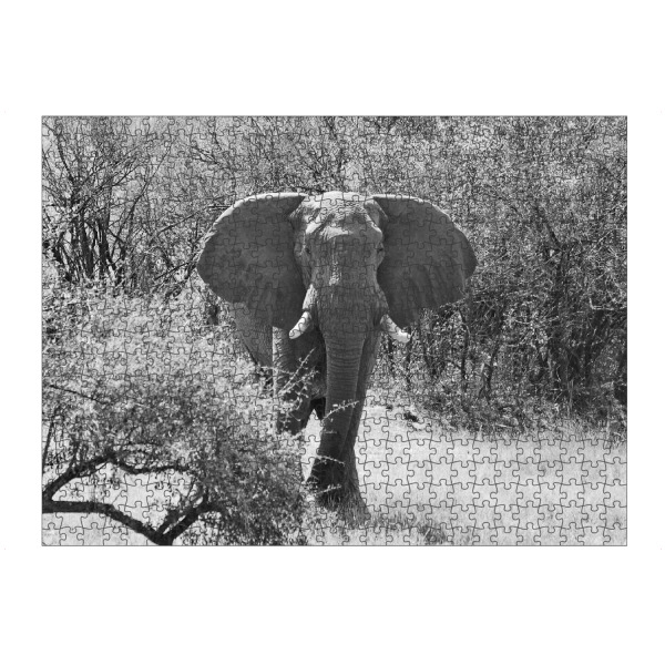 artboxONE Puzzle "Elefanten Bulle in Zimbabwe" artboxONE - Tiere,Schwarzweiß,Reise / Afrika - Elefant,Bulle,Dickhäuter,Zimbabwe - Bild elefant
