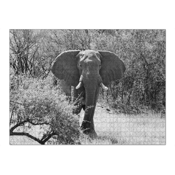 Puzzle Ravensburger "Elefanten Bulle in Zimbabwe" artboxONE - Tiere,Schwarzweiß,Reise / Afrika - Elefant,Bulle,Dickhäuter,Zimbabwe - Bild elefant