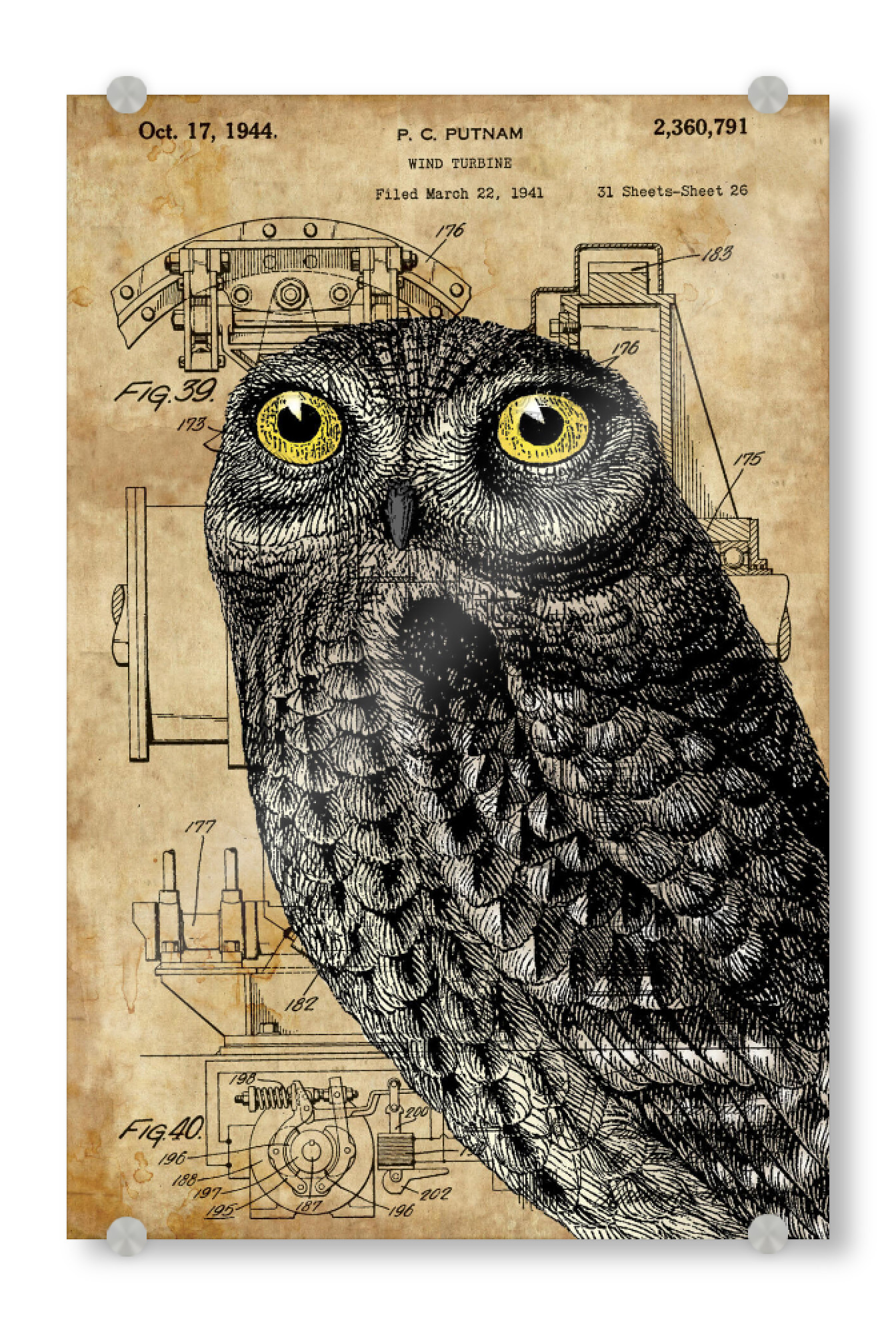 Acrylglasbild "Steampunk Kleine Eule" artboxONE - Tiere - Raubvögel,Vogel,Tier,Eule,Natur