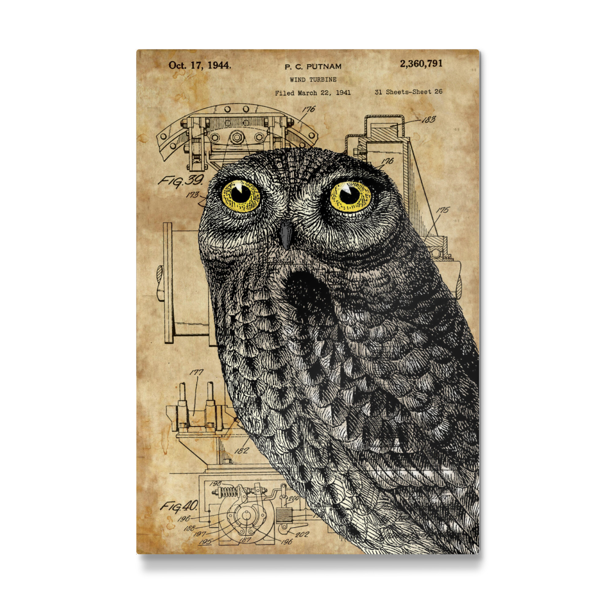 Galerie-Print "Steampunk Kleine Eule" 75x50 cm artboxONE